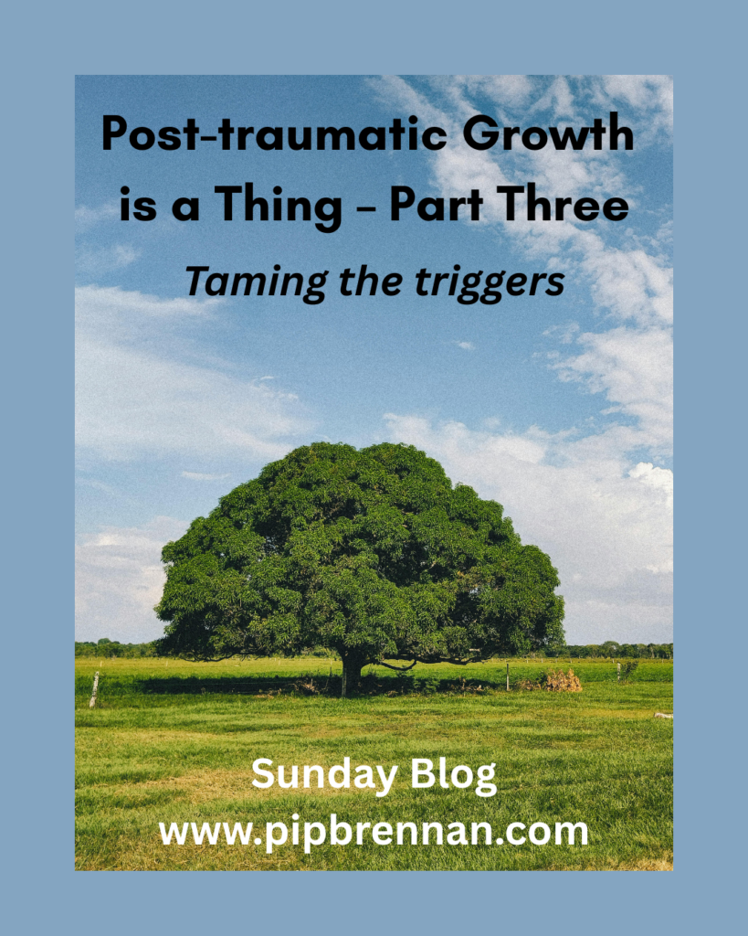 Image of a tree and blue sky with light clouds and the words "Post-traumatic Growth is a Thing - Part Three. Taming the Triggers"